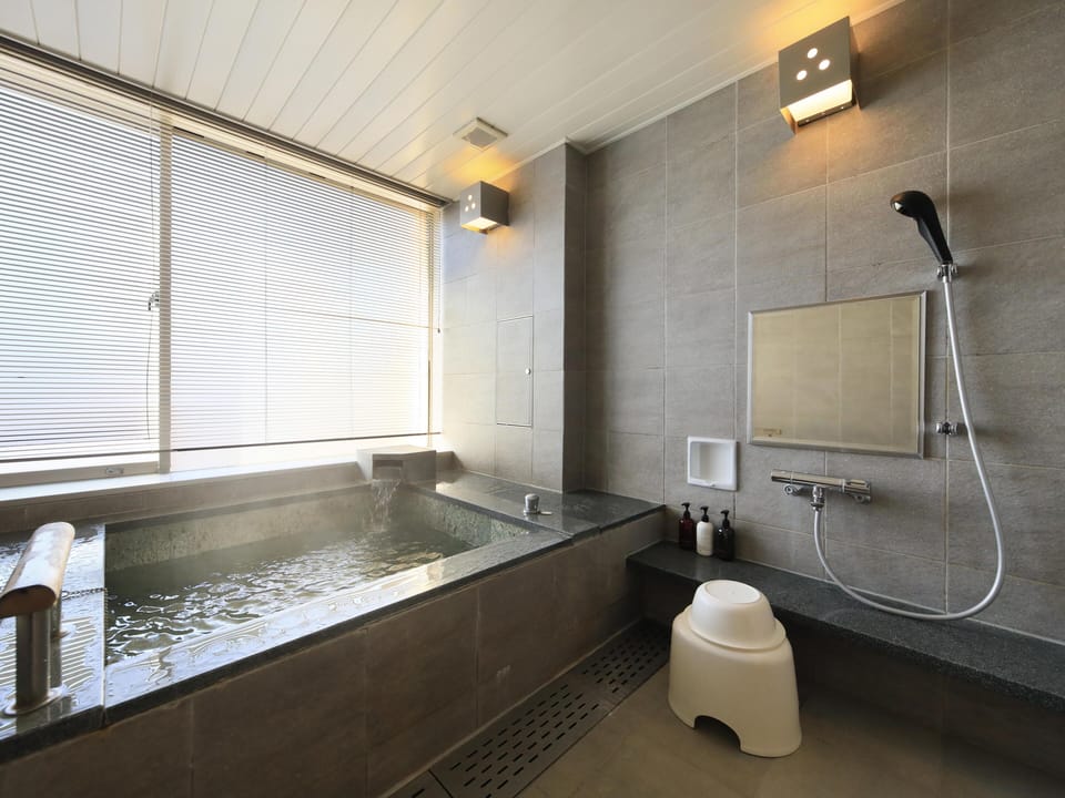 Separate tub and shower, hair dryer, bathrobes, slippers