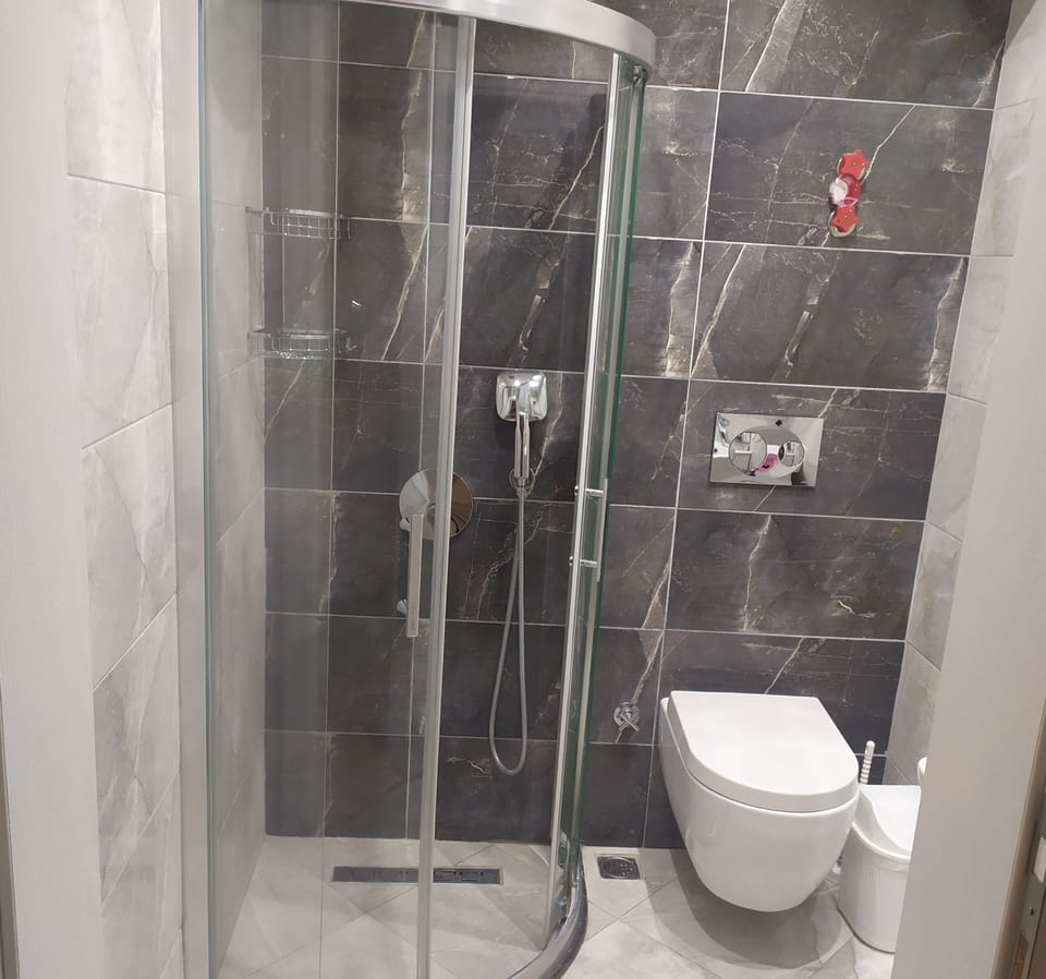 Combined shower/tub, free toiletries, hair dryer, towels