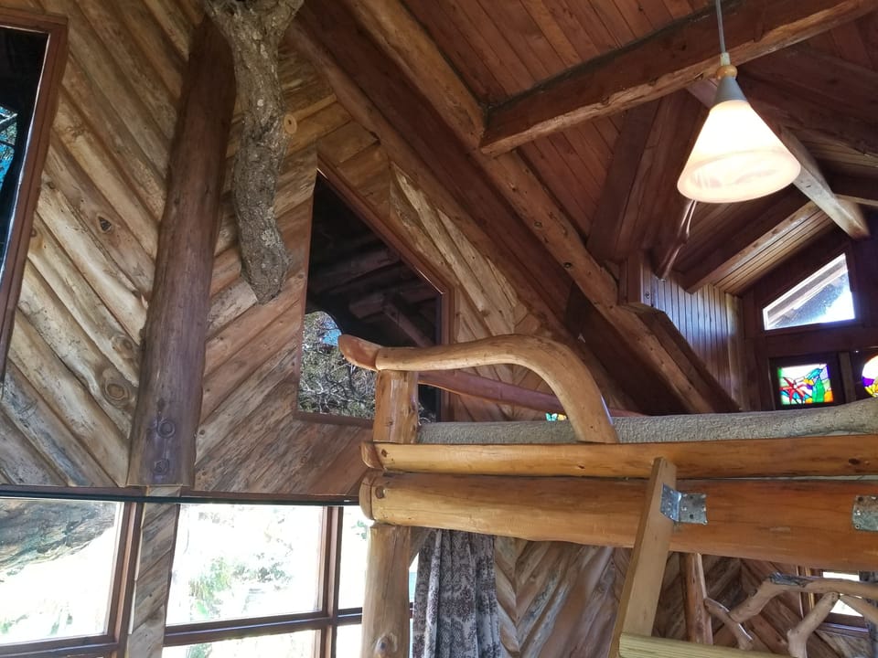 Tree House | Children's theme room
