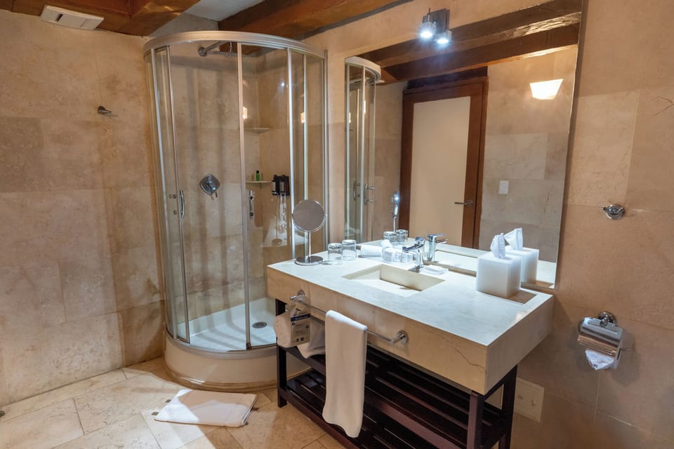 Suite | Bathroom | Shower, free toiletries, hair dryer, towels