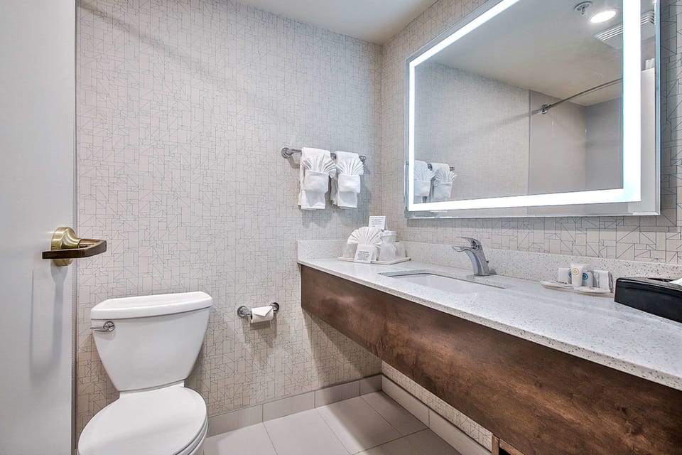 Combined shower/tub, free toiletries, hair dryer, towels