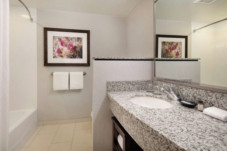 Combined shower/tub, free toiletries, hair dryer, towels