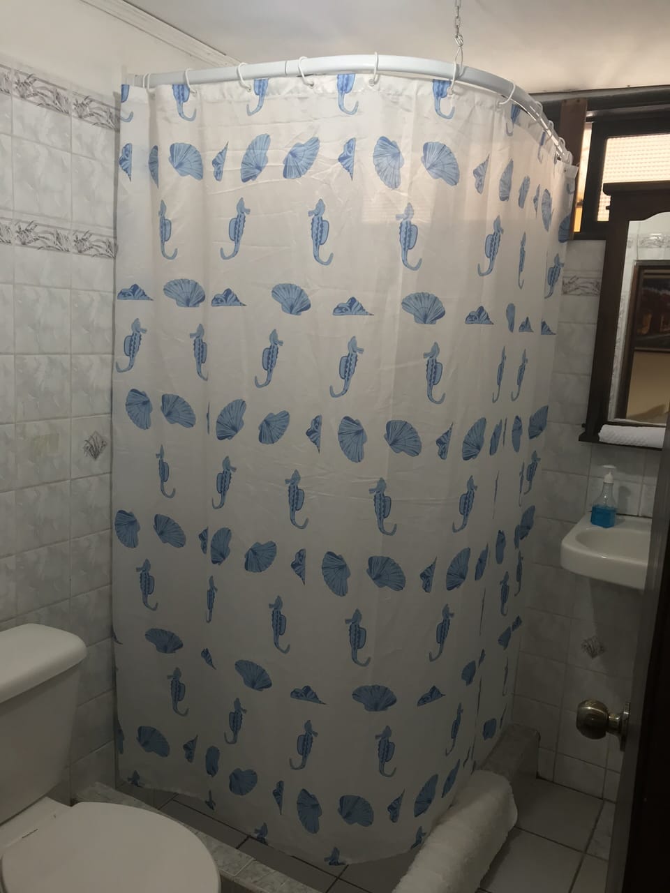 Bathroom shower