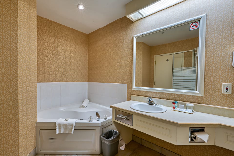 Combined shower/tub, free toiletries, hair dryer, towels