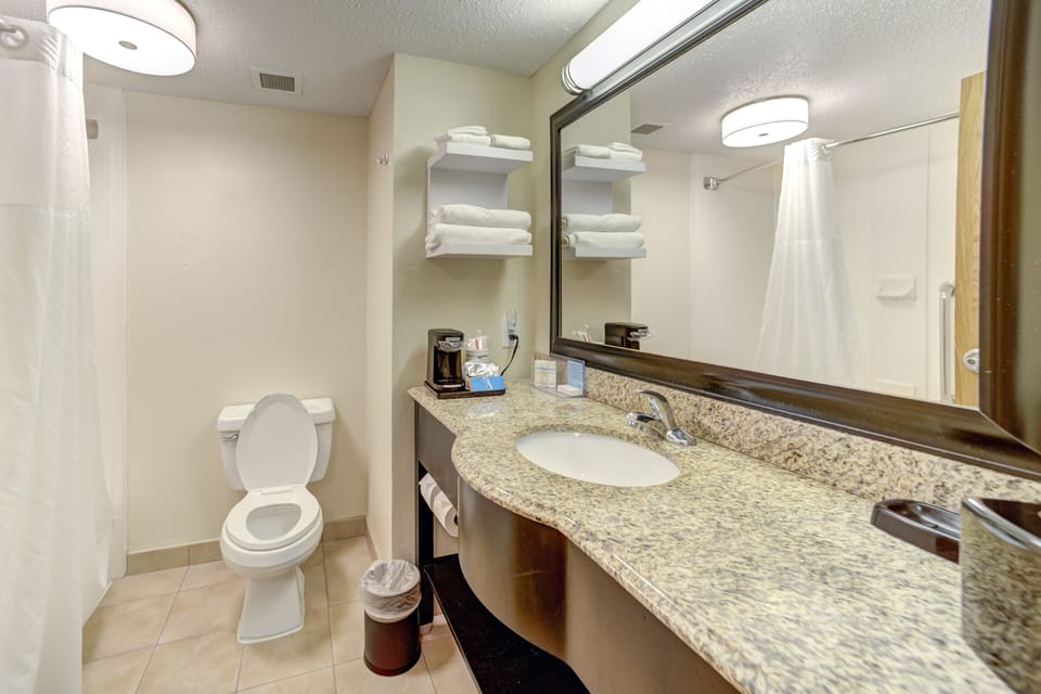 Combined shower/tub, free toiletries, hair dryer, towels