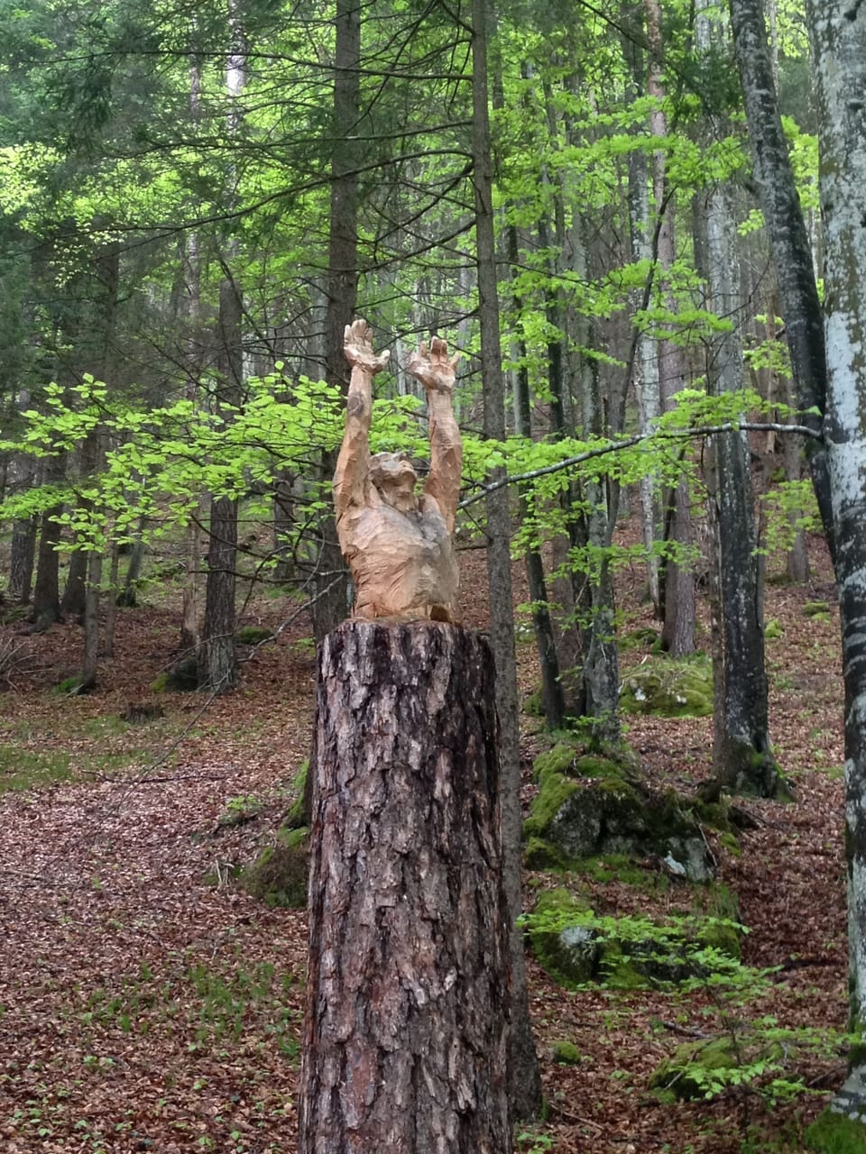 Hiking