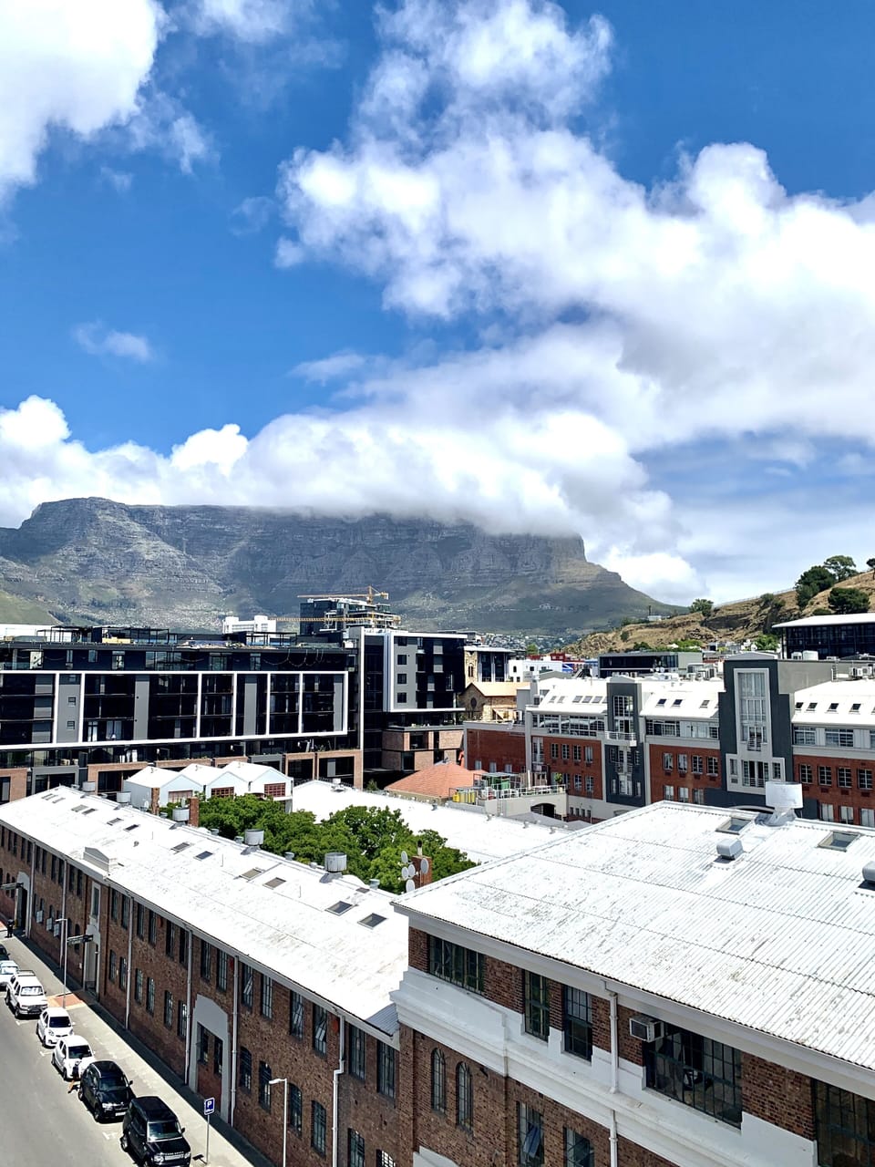 Urban Elephant 601 | City view