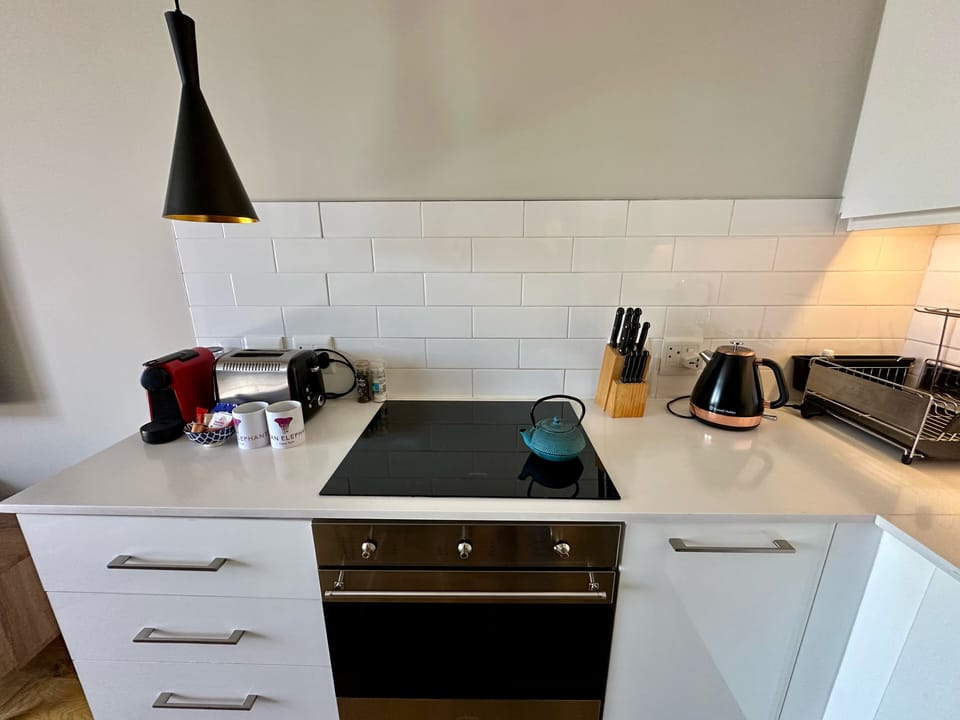 Apartment 317 | Private kitchen | Full-size fridge, microwave, oven, stovetop