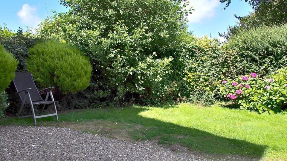 House | Garden view
