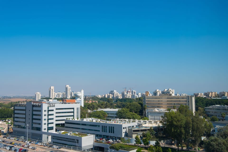 Executive room  | City view