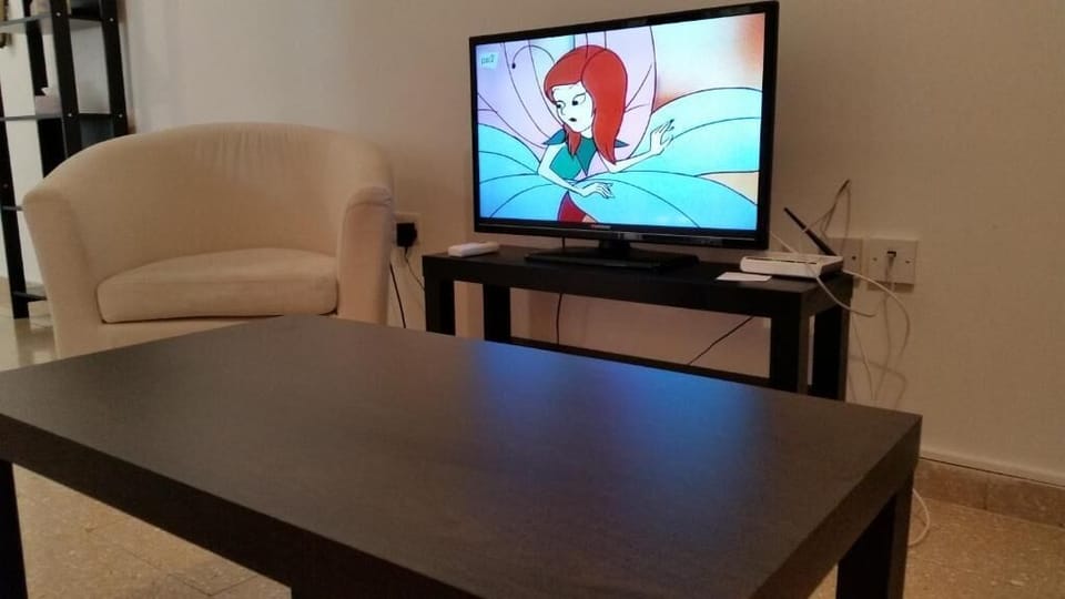 Television