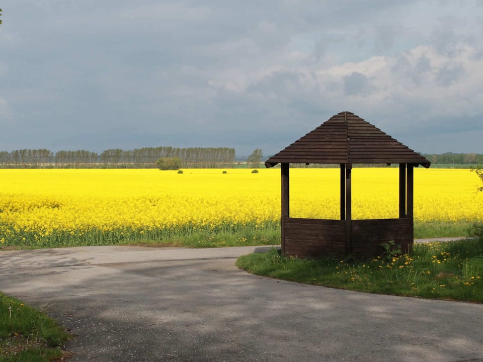 Bungalow | Interior detail
