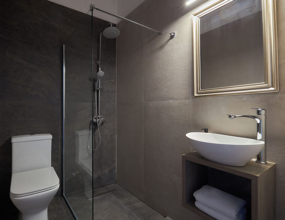 Superior Double Room | Bathroom | Shower, free toiletries, hair dryer, bathrobes