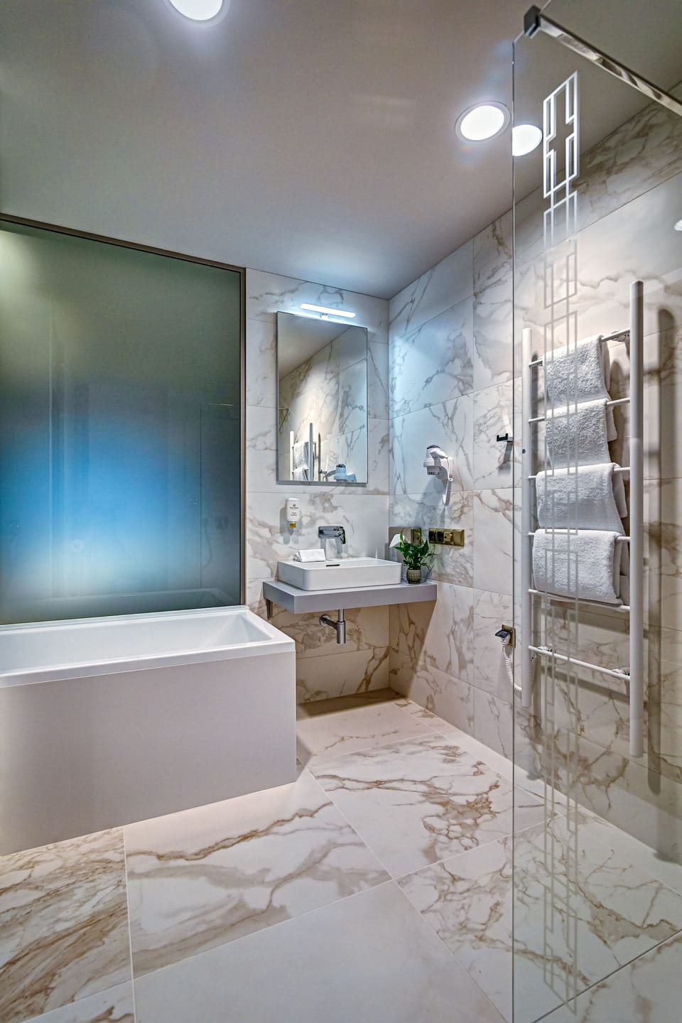 Hair dryer, towels, soap, shampoo