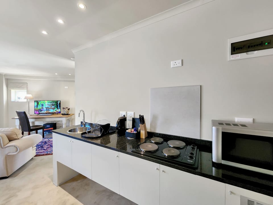 Deluxe Suite 203 / Kitchenette | Private kitchen | Coffee/tea maker, electric kettle, freezer, dining tables