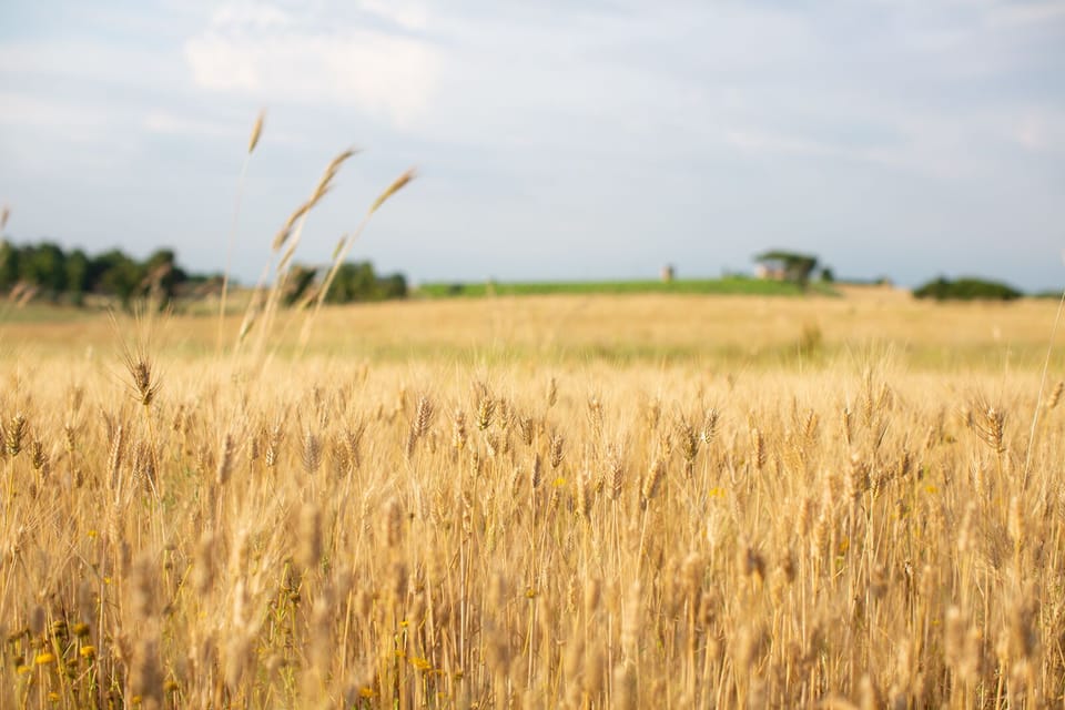Land view from property