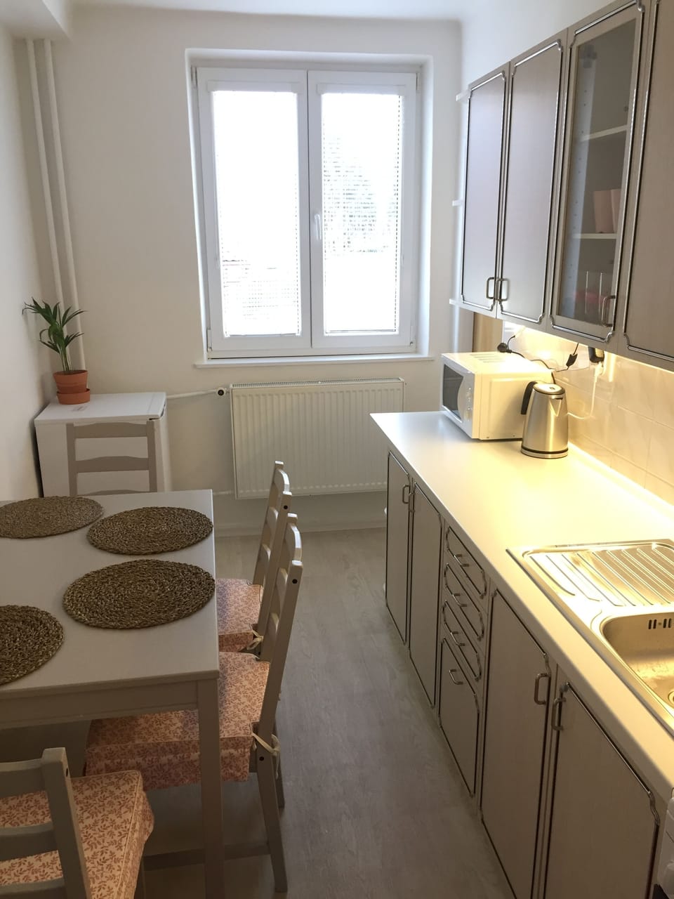 Standard Apartment | Private kitchen | Fridge, microwave, cookware/dishes/utensils
