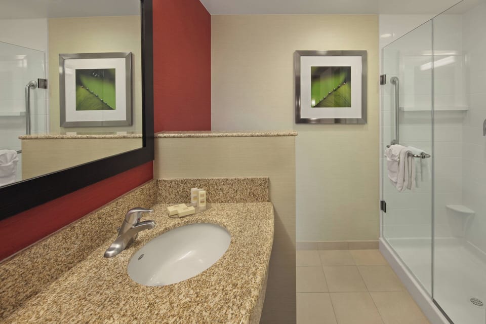 Hair dryer, towels, soap, shampoo