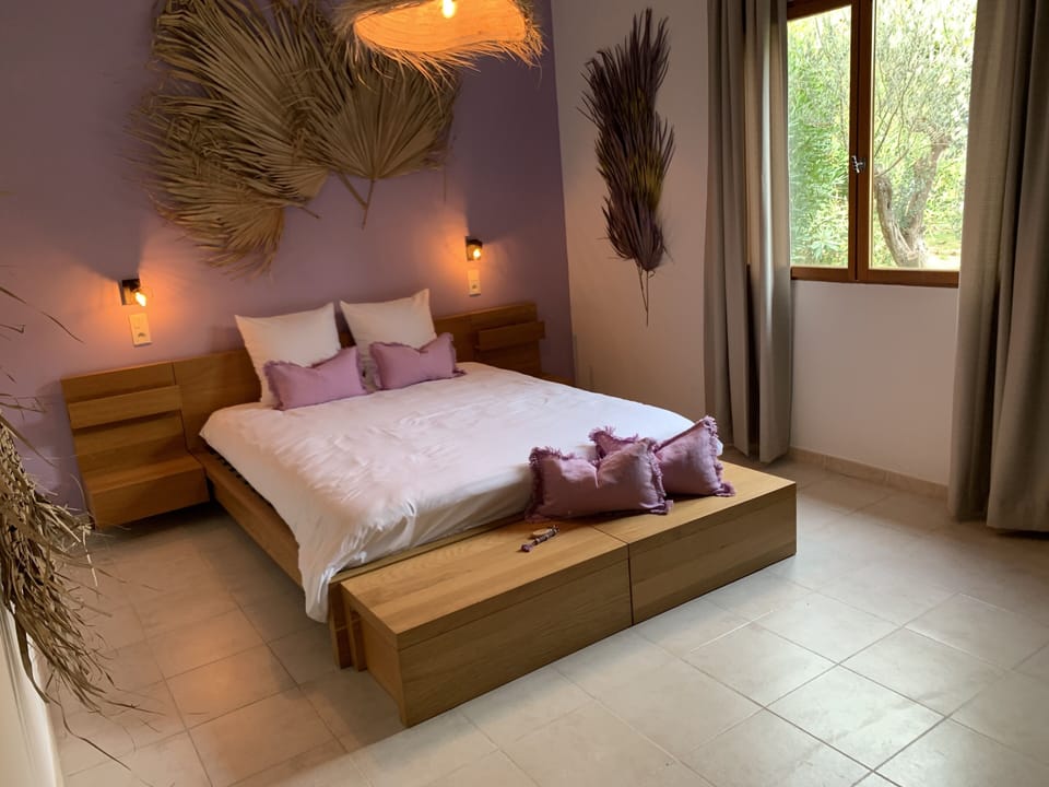 Deluxe Suite | Down comforters, individually decorated, desk, laptop workspace