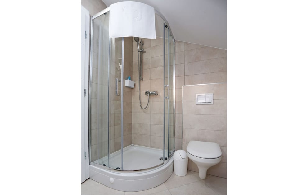 Family Room | Bathroom shower