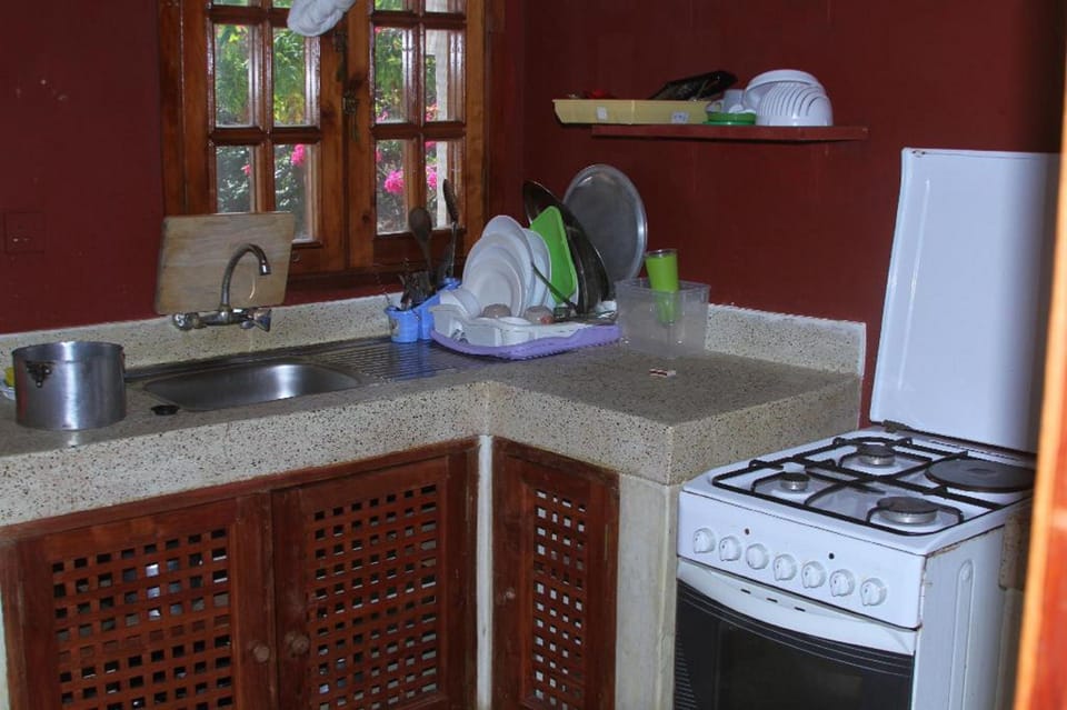 Fridge, oven, stovetop, electric kettle