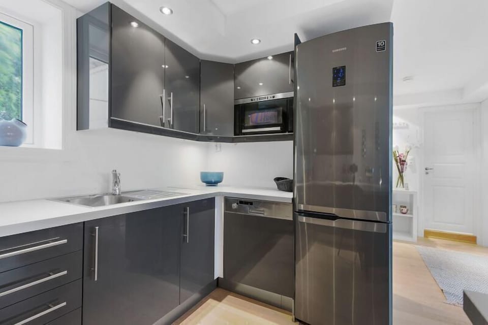 2 bedroom apartment, with terrace | Private kitchen | Microwave, oven, stovetop, dishwasher