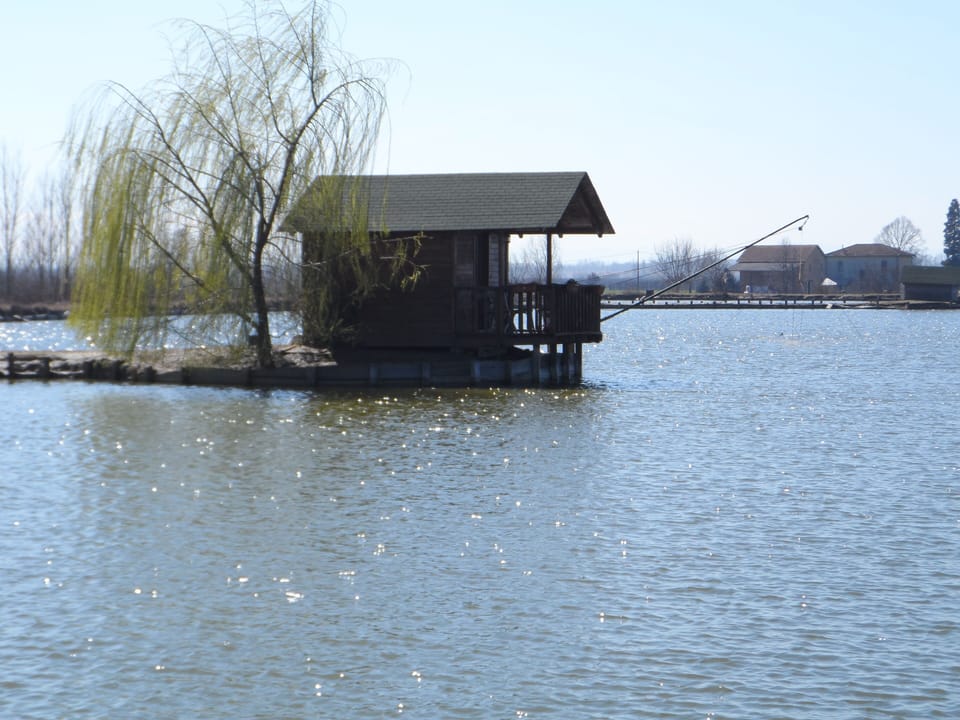 Fishing