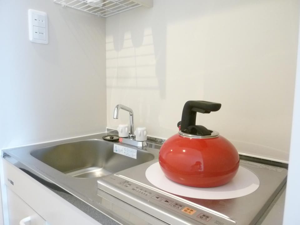 Apartment (A) | Private kitchenette | Fridge, microwave, stovetop, coffee/tea maker
