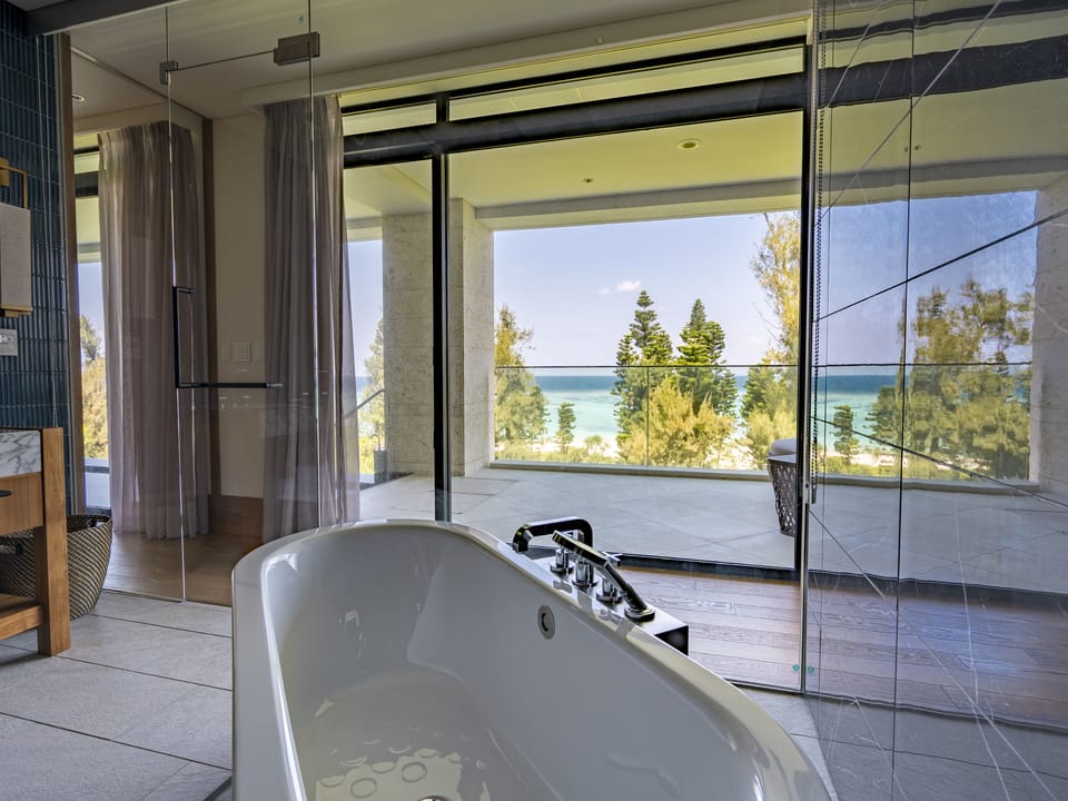 Combined shower/tub, hydromassage showerhead, designer toiletries