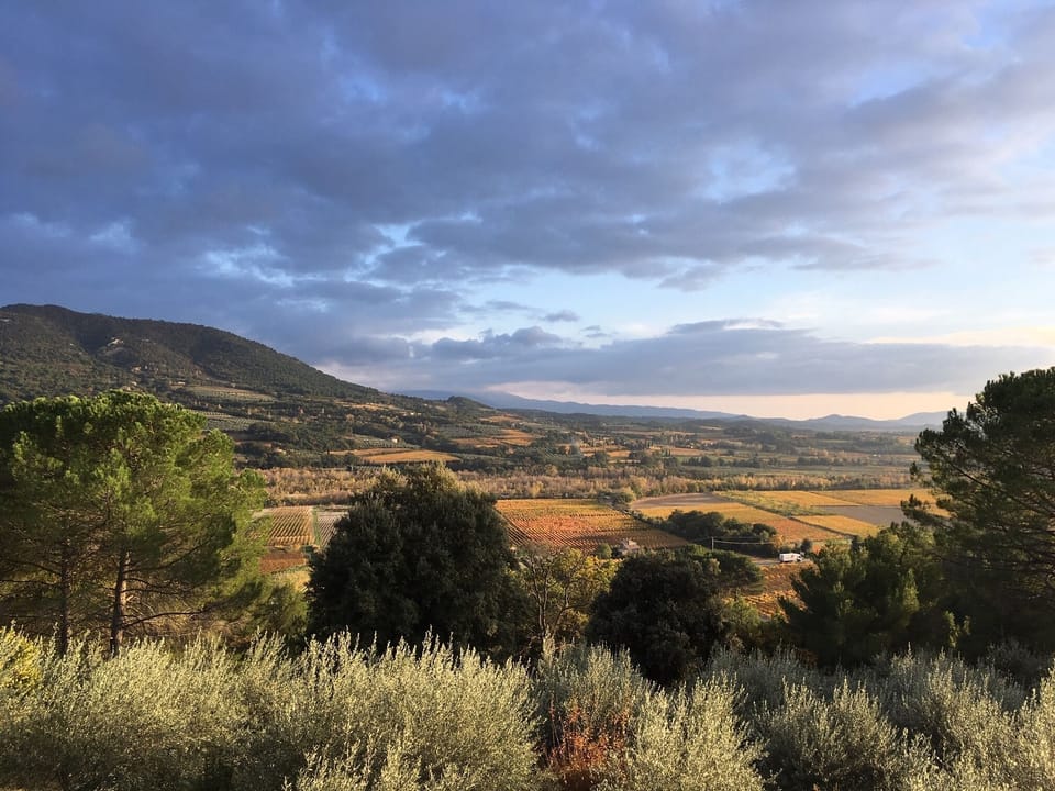 View from property