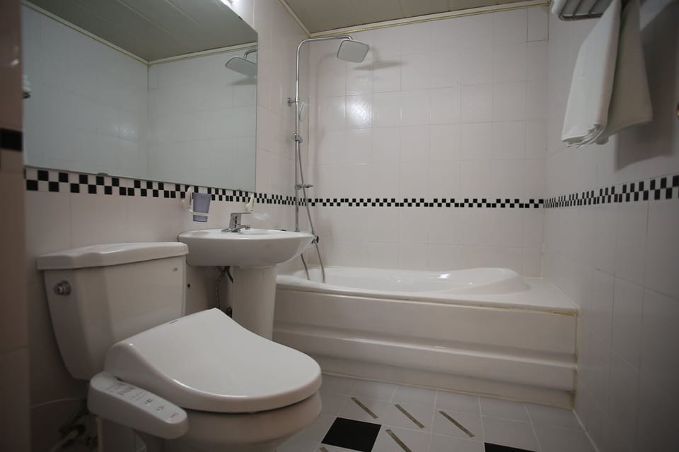 Combined shower/tub, hair dryer, towels, soap