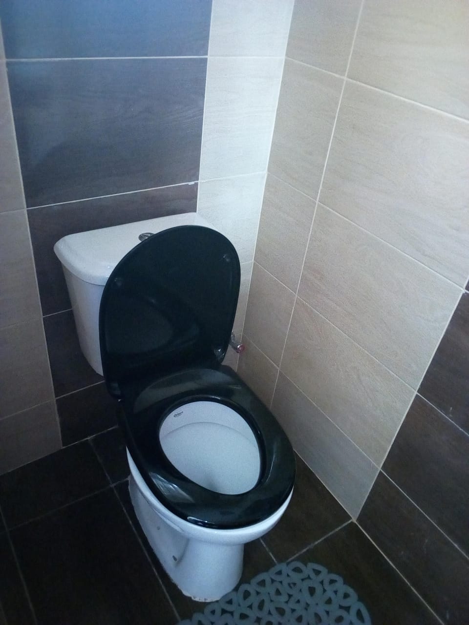 Shower, free toiletries, towels