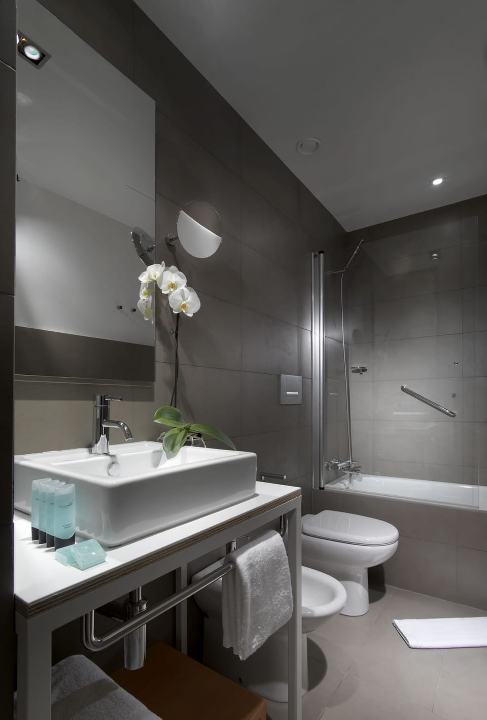Shower, free toiletries, bidet, towels