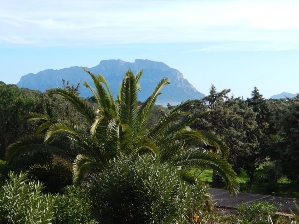 Apartment, 2 Bedrooms | View from room