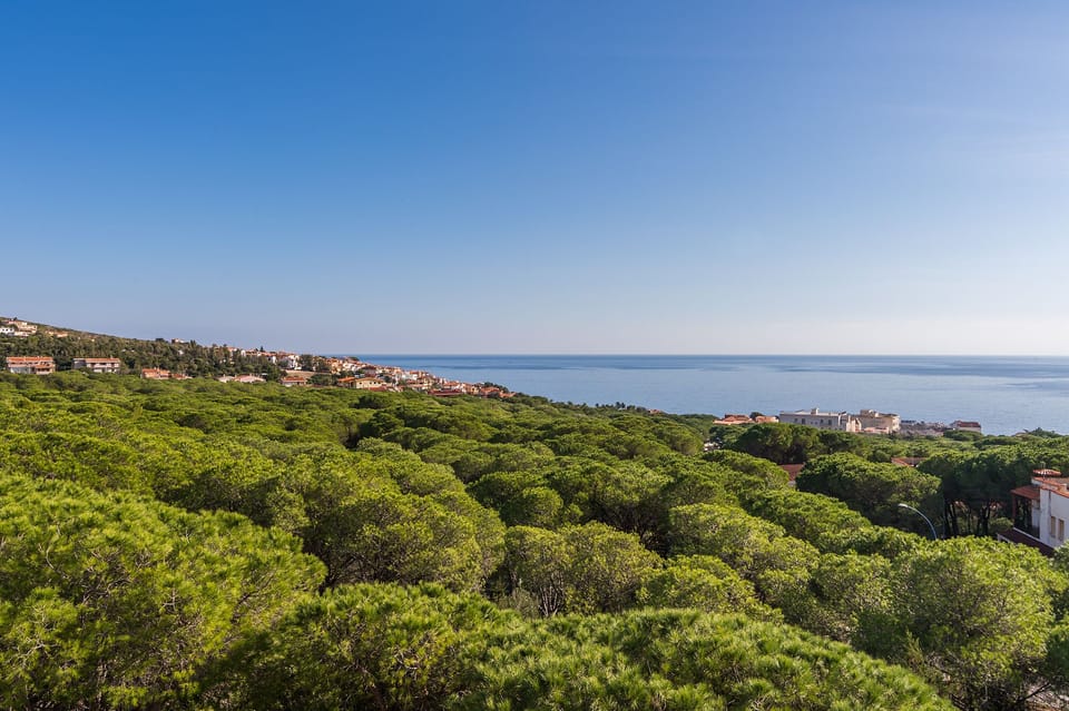 Apartment, 3 Bedrooms | View from room