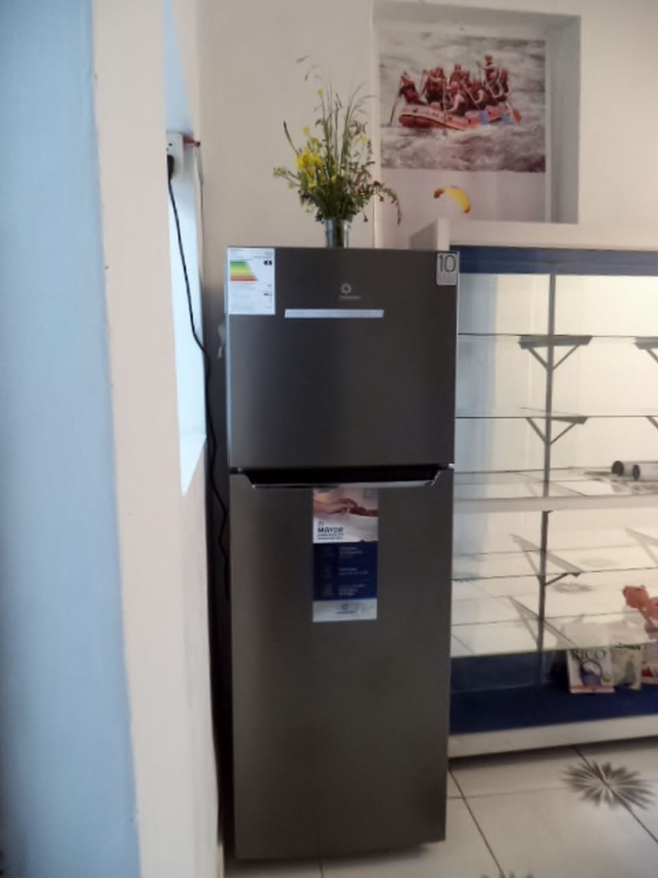 Dishwasher, blender, cookware/dishes/utensils, cleaning supplies
