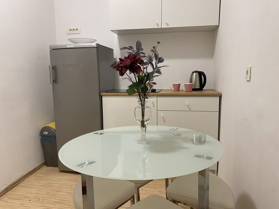 Standard Apartment | Private kitchen | Cookware/dishes/utensils, cleaning supplies