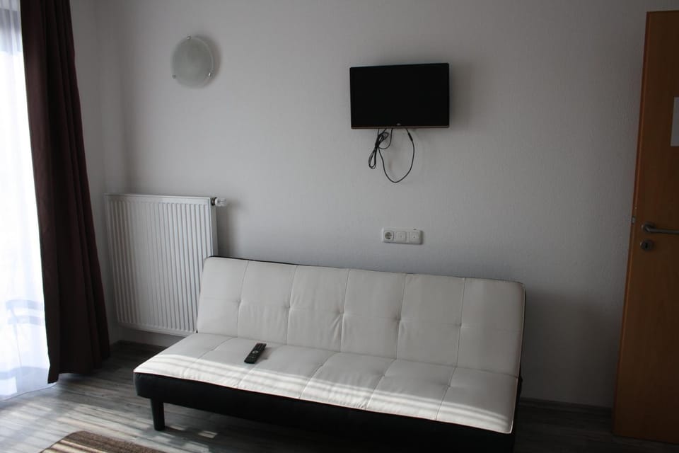 Flat-screen TV
