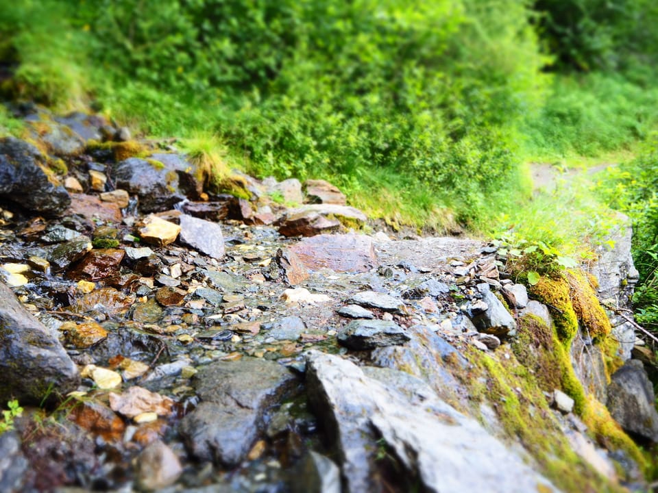 Hiking