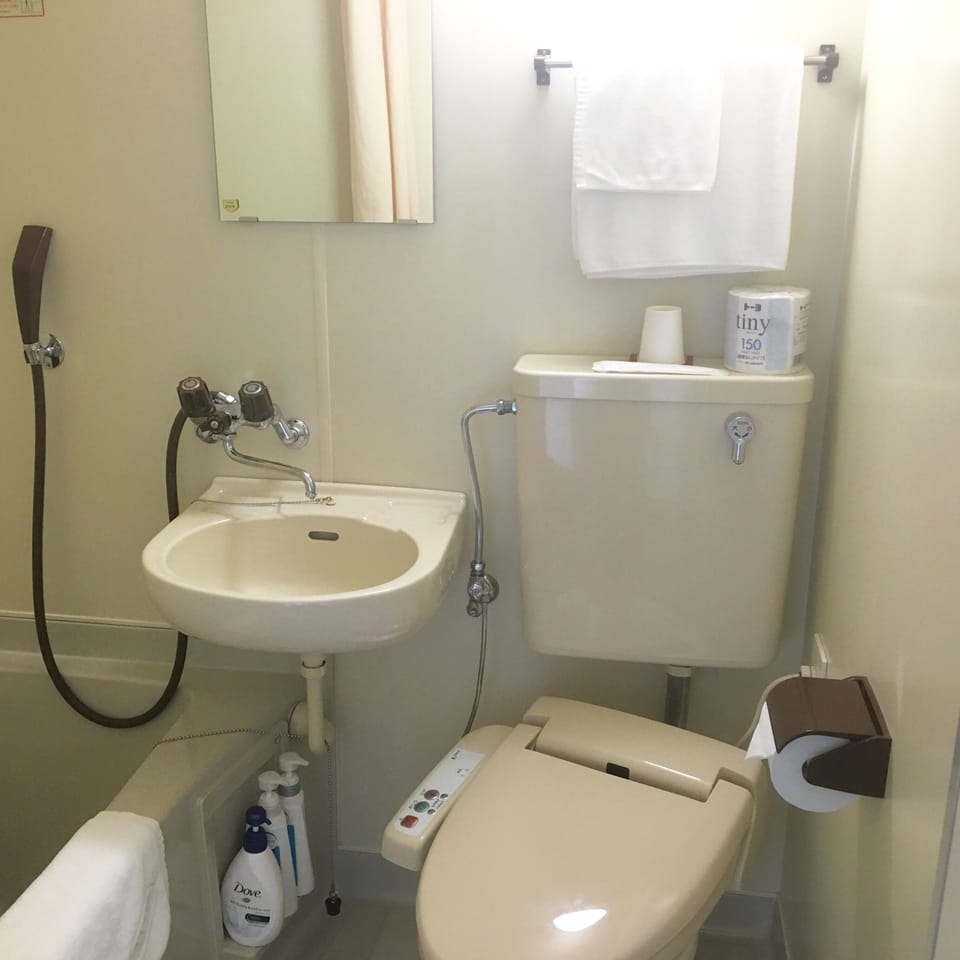 Free toiletries, hair dryer, slippers, electronic bidet