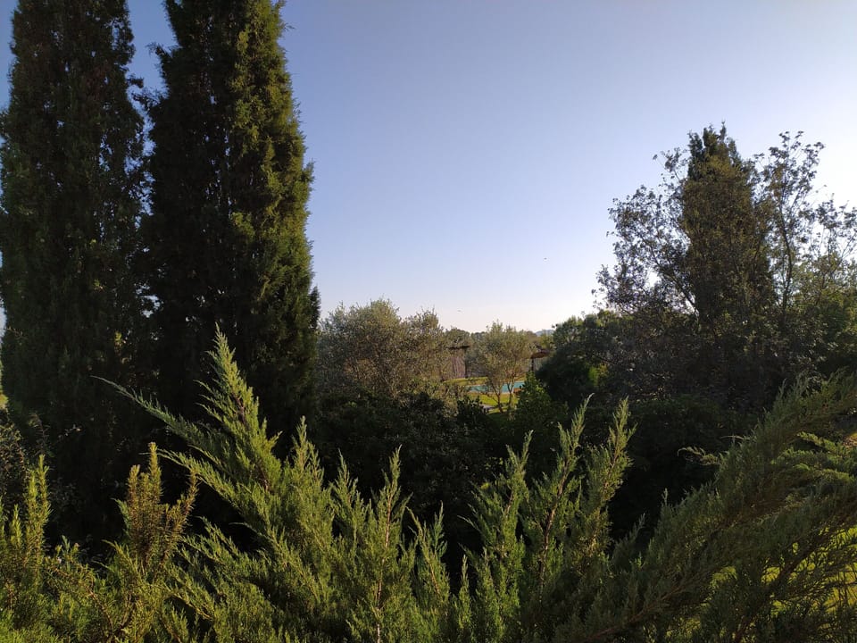 Land view from property