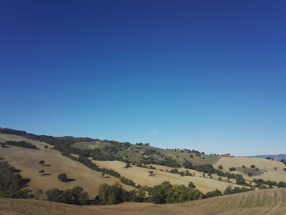 Land view from property