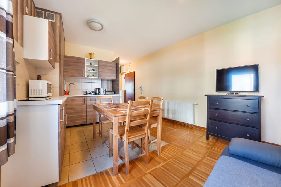 Apartment (49 Helska Villa, Steyera 18) | Living room | Flat-screen TV