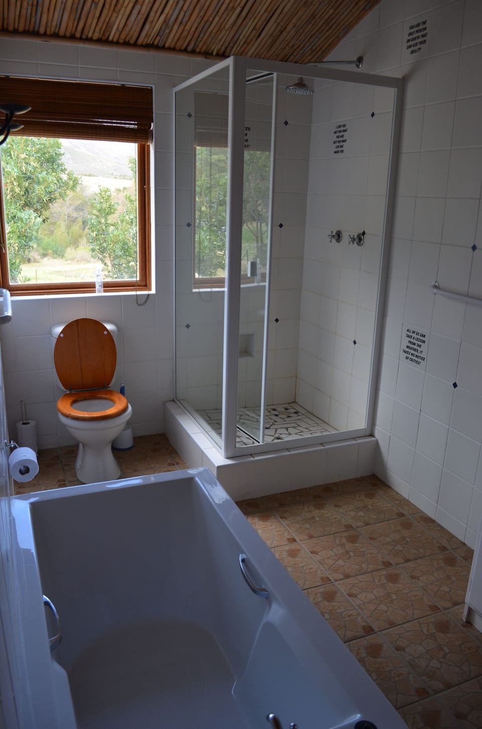 Bathroom shower