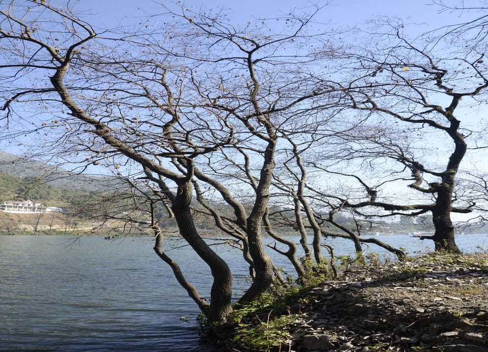 Lake