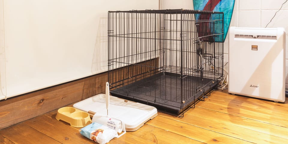 Pet-friendly amenities