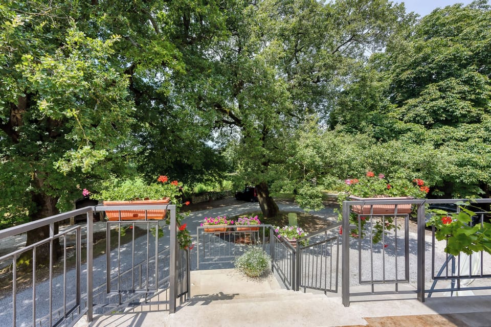 Apartment (A1) | Property grounds