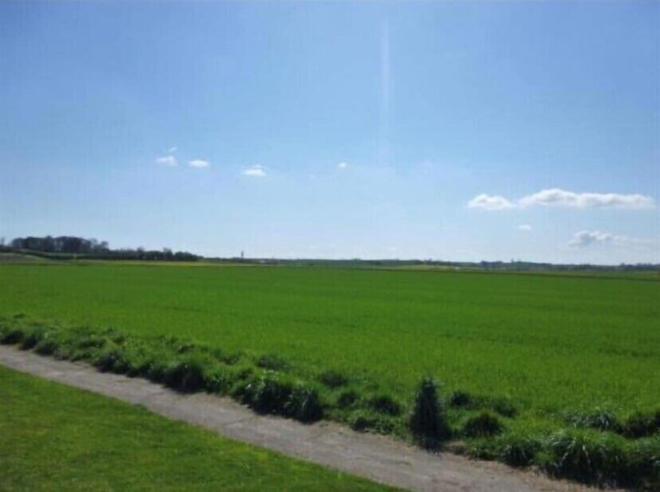 Family House, Ensuite | View from property