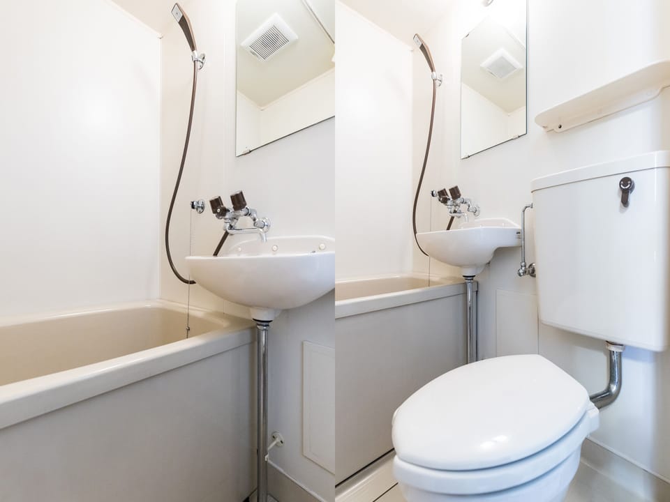 Deluxe Twin Room, Non Smoking | Bathroom | Hair dryer, towels, soap, shampoo