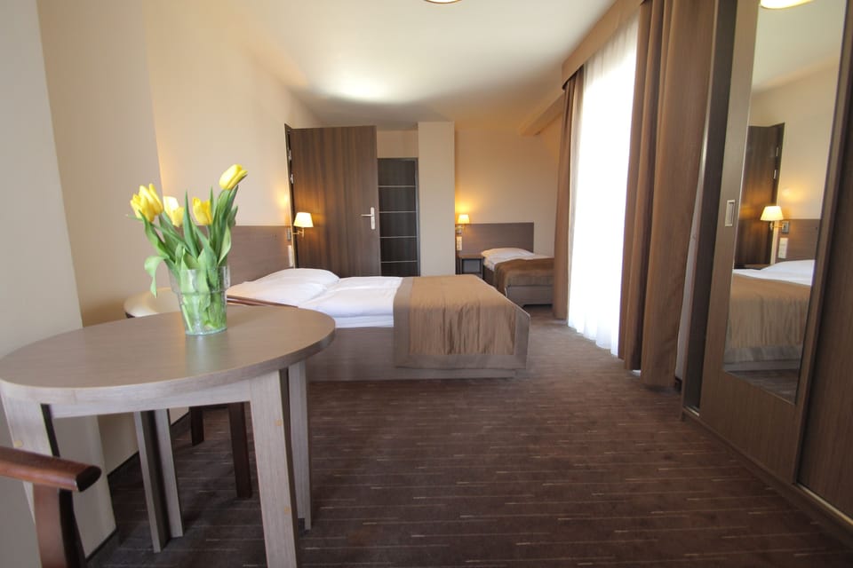 Triple Room | Desk, iron/ironing board, free WiFi, bed sheets